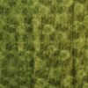 Olive Green Chiffon Printed Saree - Image 7