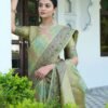 Pista Green Woven Banarasi Organza Saree - Image 4