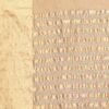 Cream Plain Organza Saree - Image 8