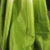 Ready to Wear Light Green Printed Silk Saree - Image 9