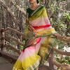 Multicoloured Plain Organza Saree - Image 2