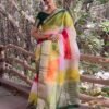 Multicoloured Plain Organza Saree - Image 13